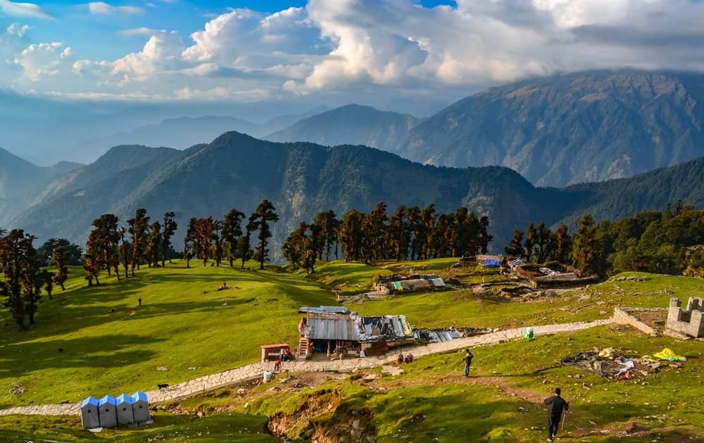 Auli