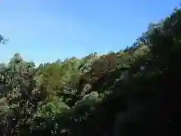 Chirbatiya Trek