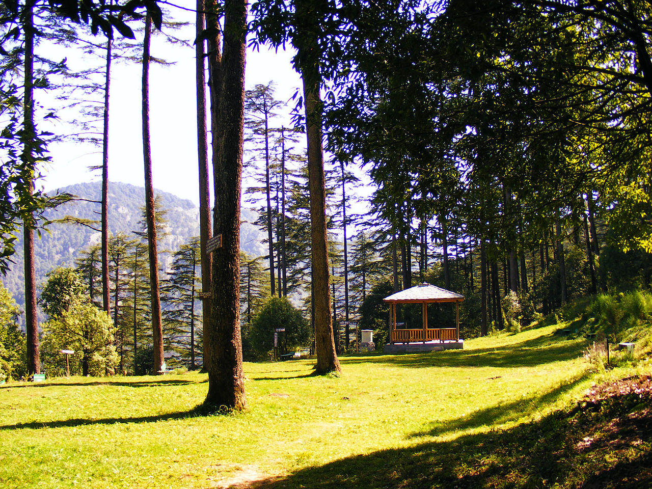 Dhanaulti Tour