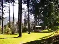 Dhanaulti Tour