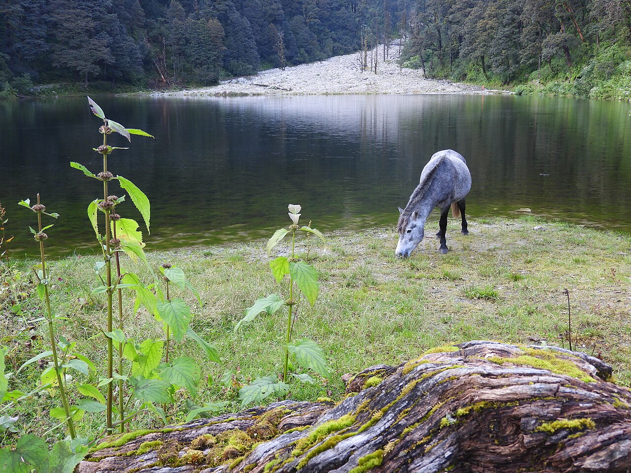 Dodital Darwa Pass Trek