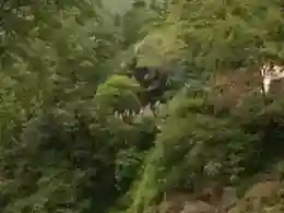 Kalpeshwar-Rudranath Trek