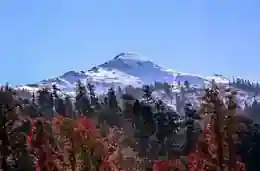Kedarkantha Trek