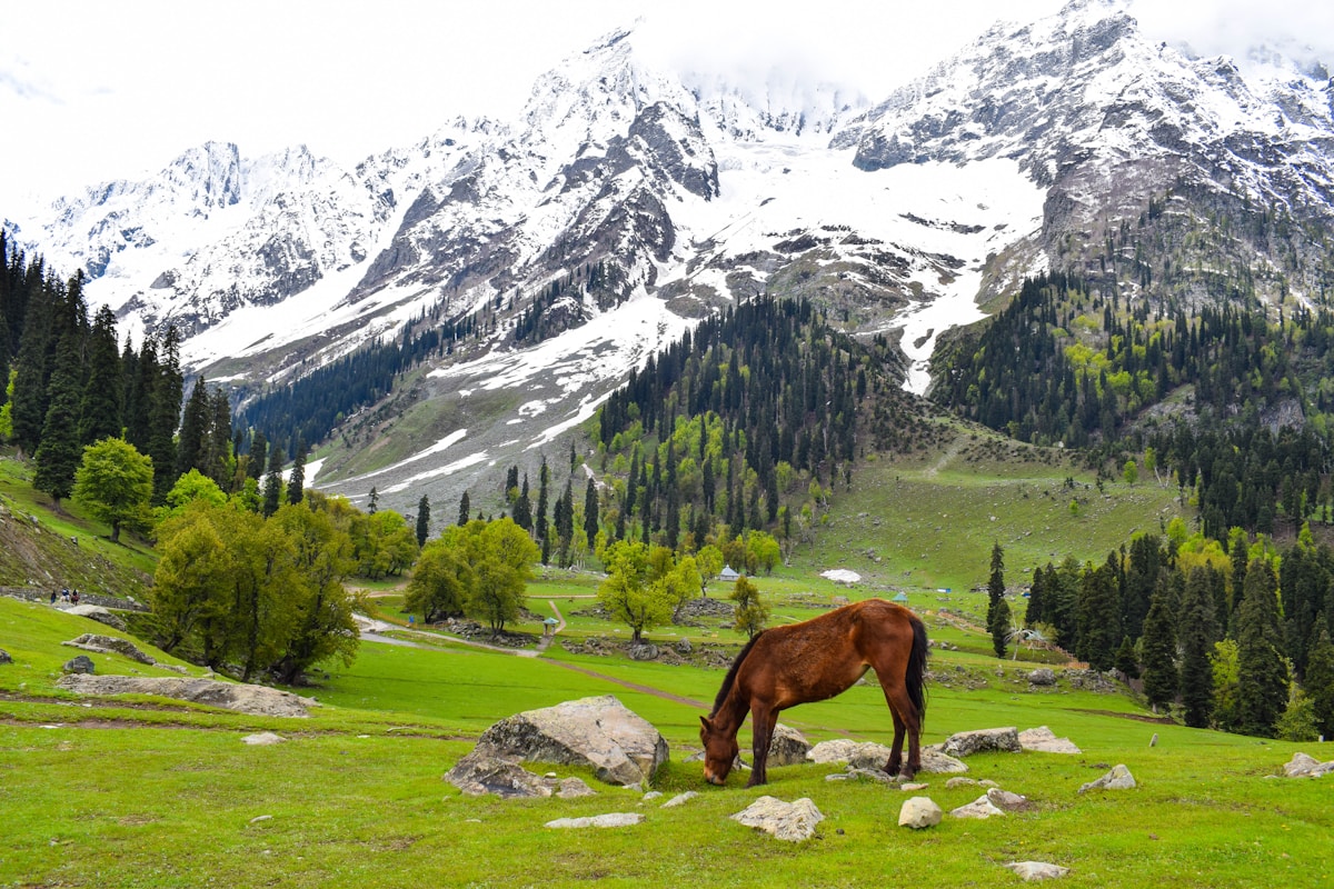 Hill Station Views
